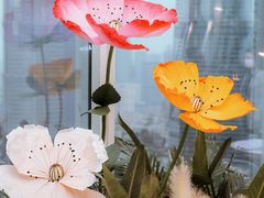 -翡翠36餐厅(浦东香格里拉店)