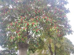 -紫金港餐饮中心-风味餐厅(浙江大学紫金港校区店)