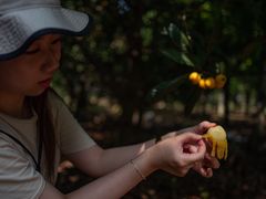 -塘栖枇杷特色园区