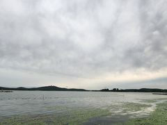 -蠡湖中央公园