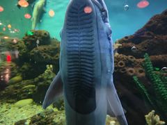 -蓬莱欧乐堡海洋极地世界