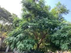 -西南交通大学(峨眉校区)