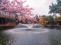 -宝墨园景区