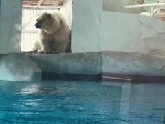 -海合安成都极地海洋公园