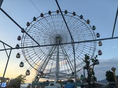-飞来湖湿地公园