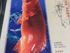 -麒麟中餐厅·经典粤菜·地道菜式老字号(广州长隆酒店)