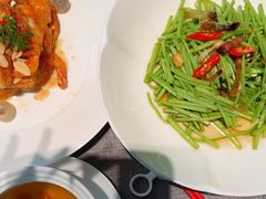 -秀儿四九城·新京菜(亚运村鸟巢店)