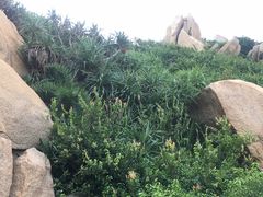 -那琴半岛地质海洋公园