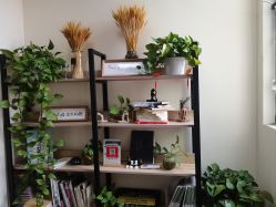 -一伽瑜伽·普拉提