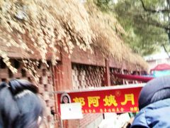 -郭阿姨月亮馍