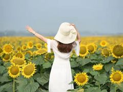 -兰陵国家农业公园