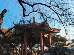 -丰台花园