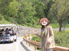 -巢湖姥山岛