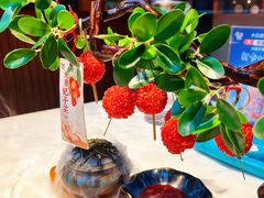 -唐猫庭院·千年陕菜(大唐不夜城店)