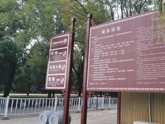 -清东陵