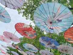 -荷塘月色湿地公园·向阳花洲