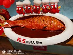 -阿五黄河大鲤鱼(英协路店)