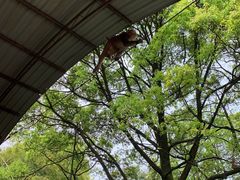 -重庆雨台山风景区