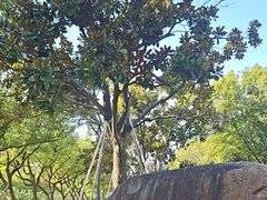 -昆山城市公园