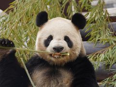 -杭州野生动物世界