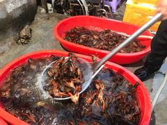 -杨氏青龙虾·羊蝎子(金盛路总店)