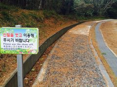 -汉拿树木园
