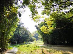 -堤角公园