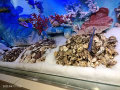 -比尔森韩式烤肉自助(国商店)