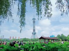-裕华世纪公园