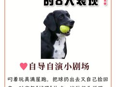 -申普宠物医院·眼科·心内科·影像科(普陀分院)