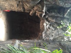 iphone_upload_pic-西安世博园