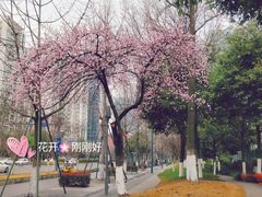 -闻酥园(大慈寺店)