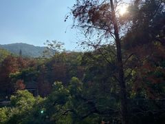 -广州市白云山风景名胜区