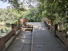 -望江楼公园