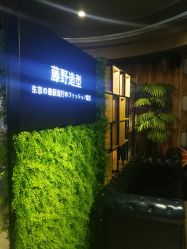 点击看大图 -藤野造型