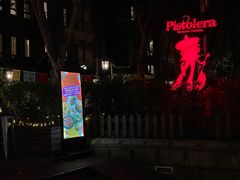 -Pistolera Mexican Cantina女枪手墨西哥餐厅(碧云路店)