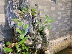 -粤点越有·茶点·粤菜(樵岭国际店)