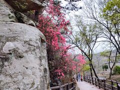 -木兰云雾山