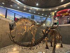 -国家自然博物馆