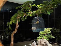 -同庆楼(天鹅湖万达店)