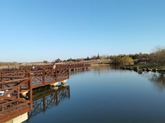 -上海海湾国家森林公园