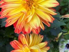 -上海植物园-4号门售票处