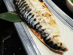 -真剑日本料理·铁板烧(贵州路店)