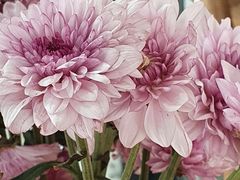 -囿面传统制面馆(中央路店)
