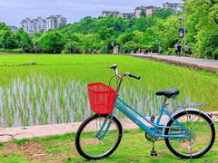 -贵阳市花溪国家城市湿地公园