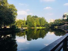 -晓港公园