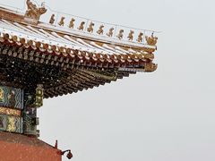 -故宫博物院(故宫)