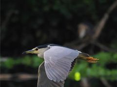 -重庆彩云湖湿地公园