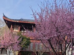 -堤角公园