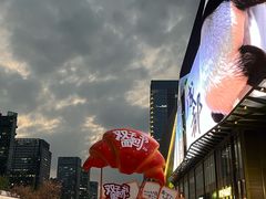 -合景·悠方(成都店)